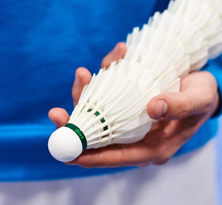 bellen Notebook Bewust worden Badminton | Babolat