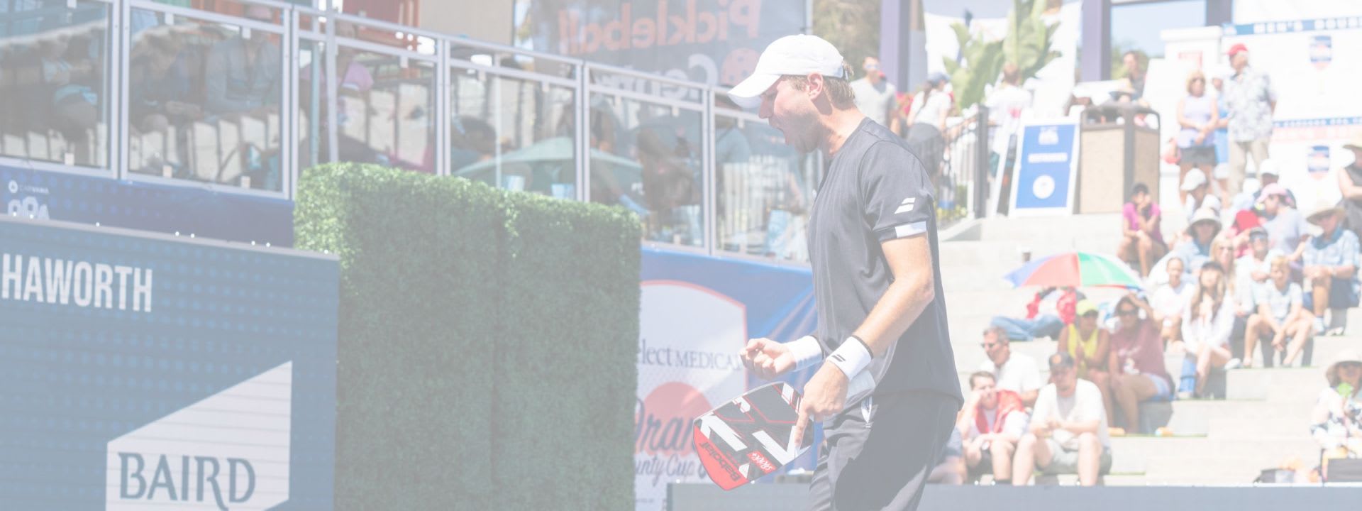 Pickleball pro player banner Pickleball pro player banner