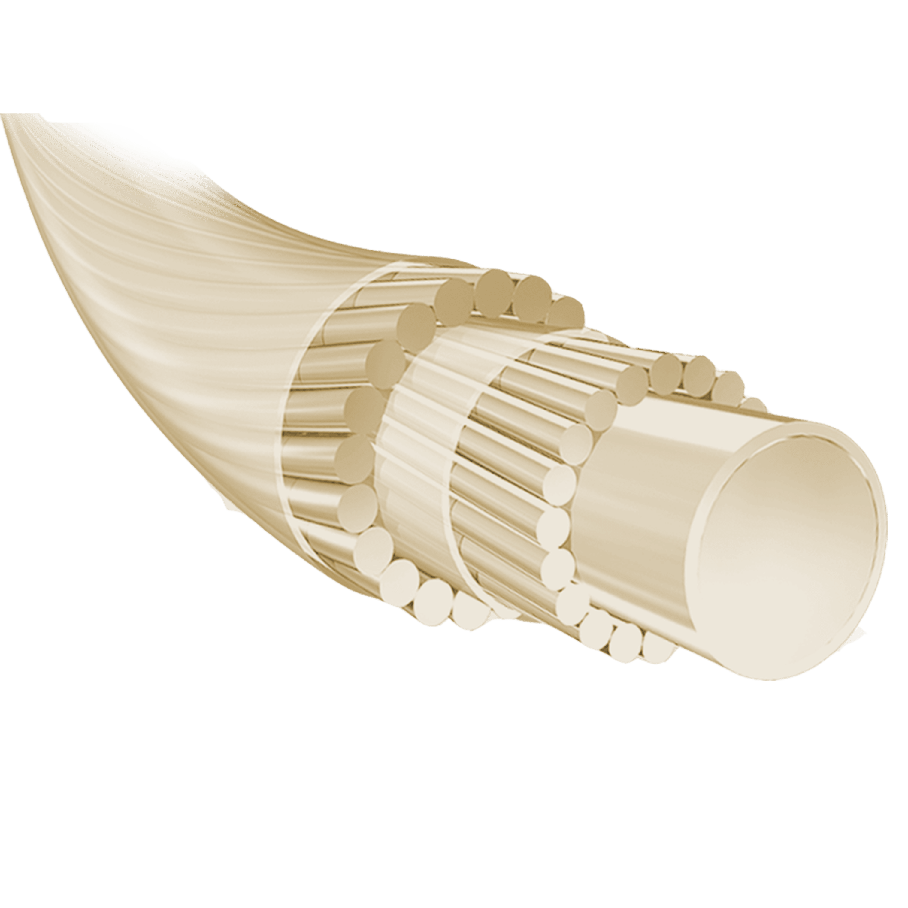 Syn Gut Force 200M Syn Gut Force 200M