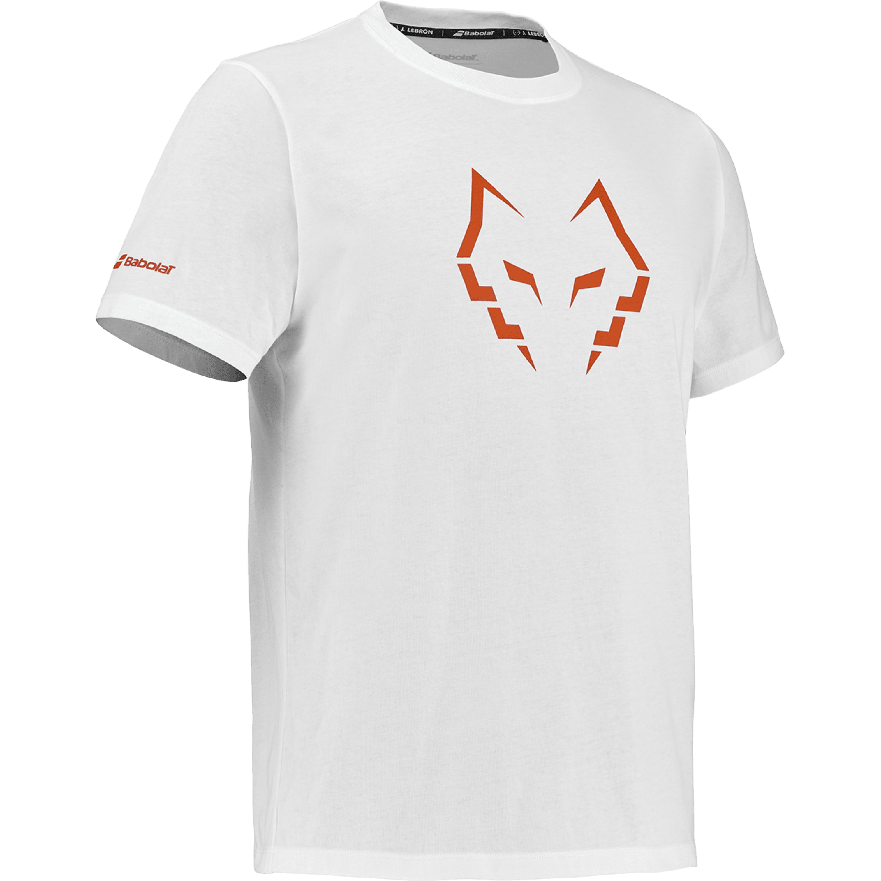 Cotton Tee Lebron Herren