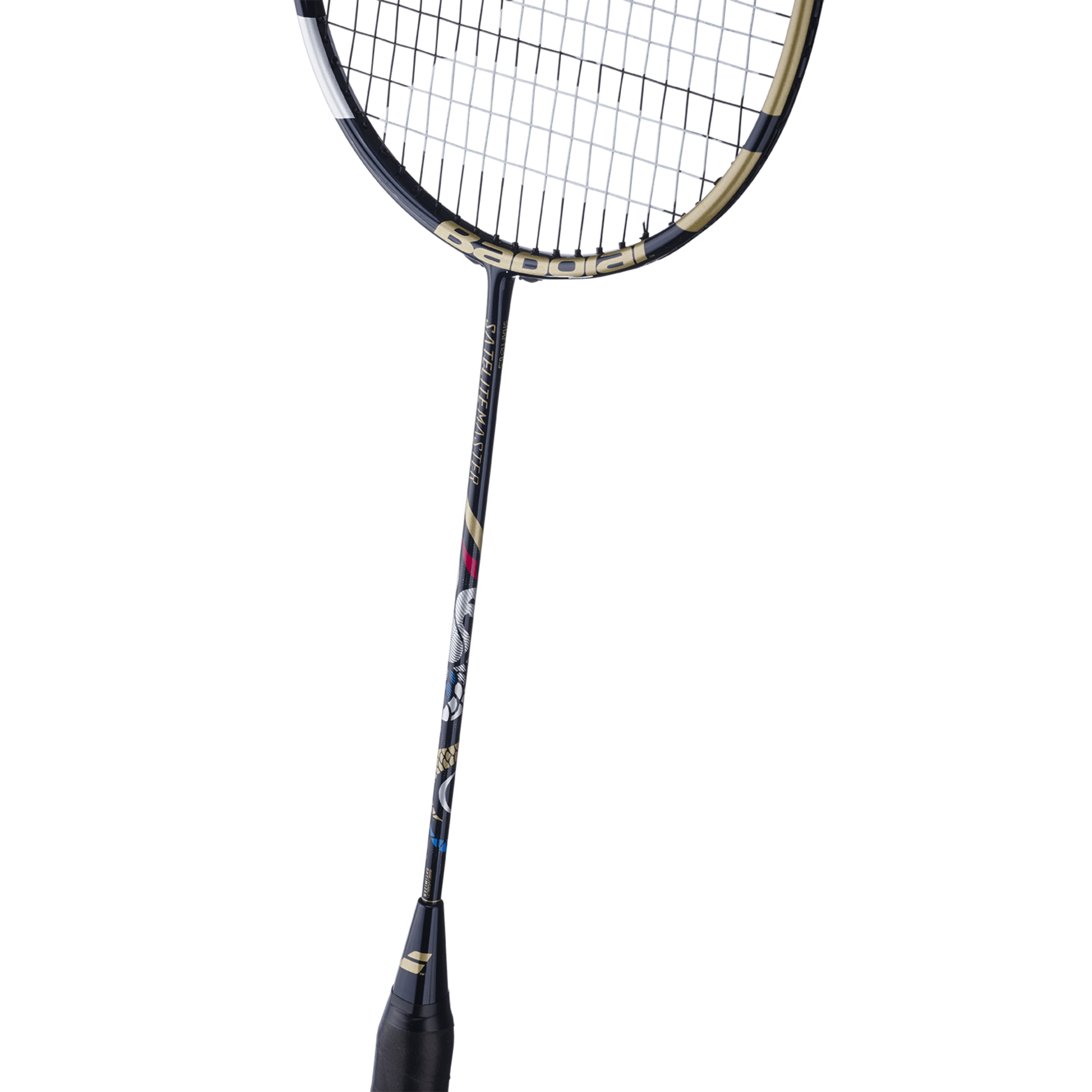 Satelite Master Cord&eacute;e