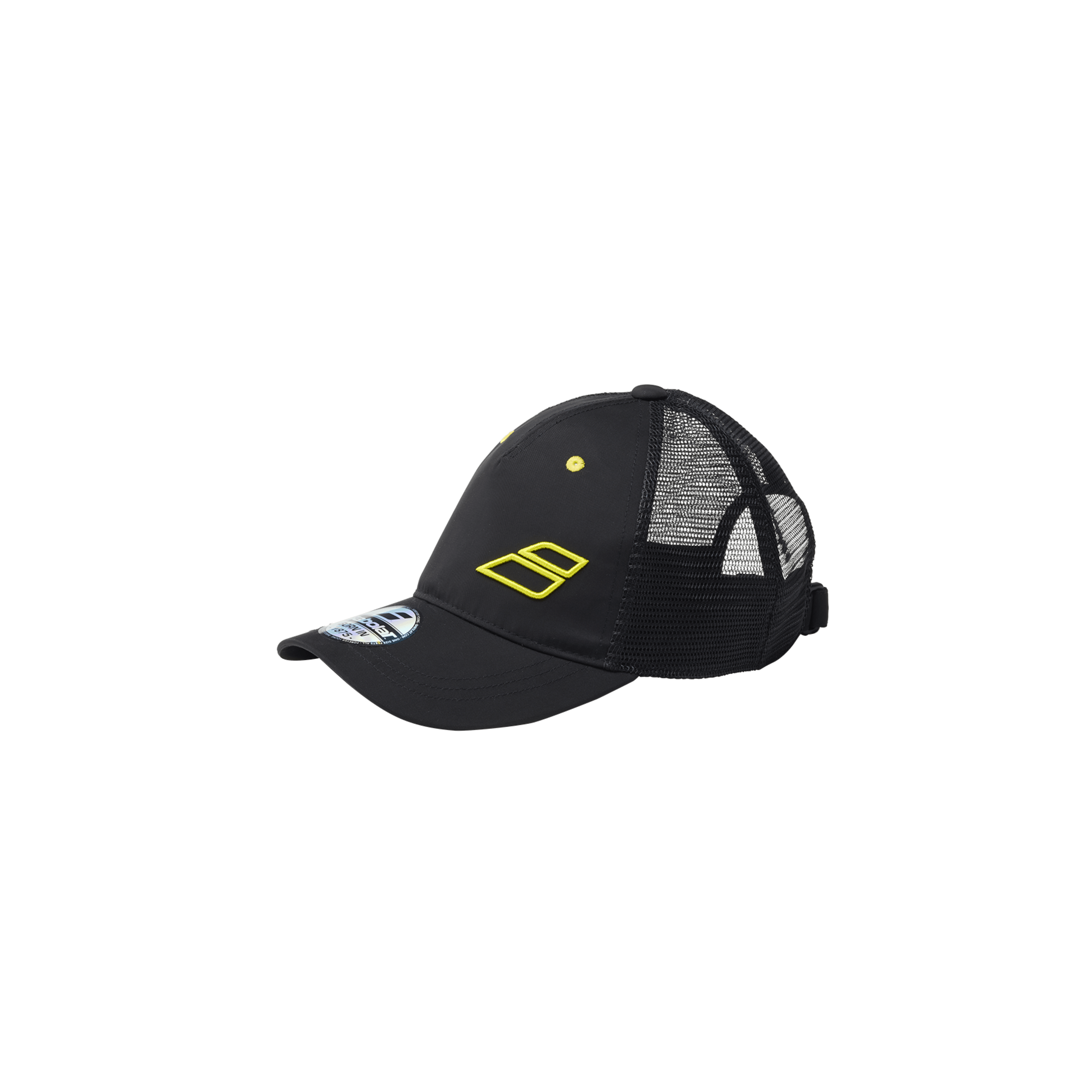 PA CAP