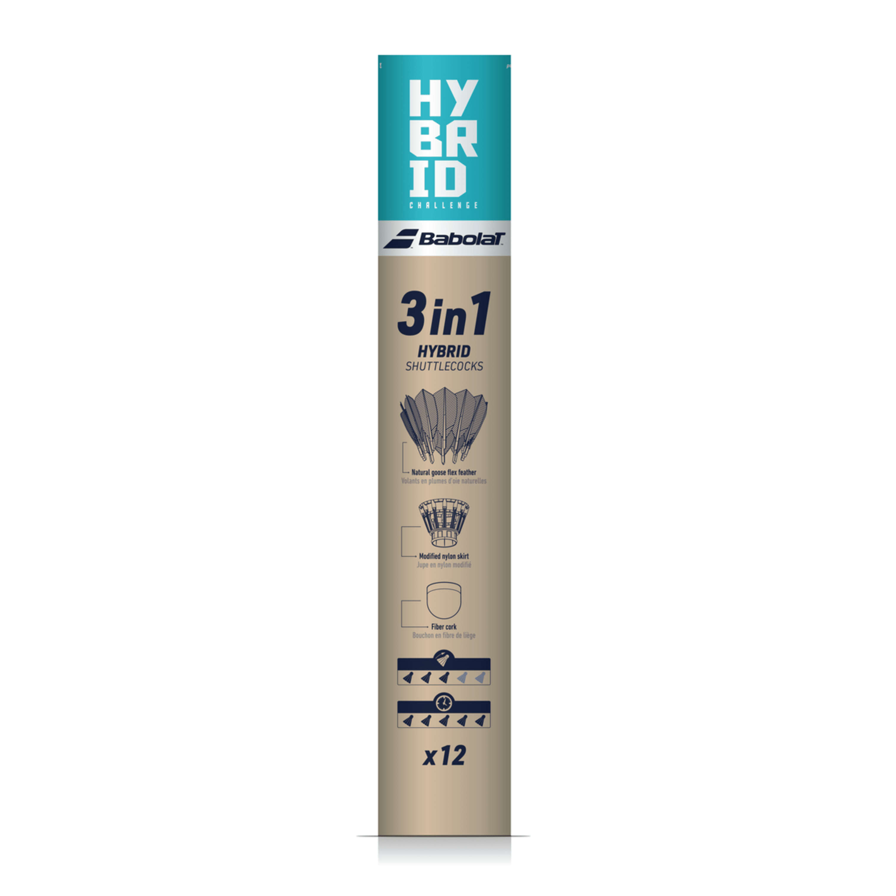 HYBRID Challenge