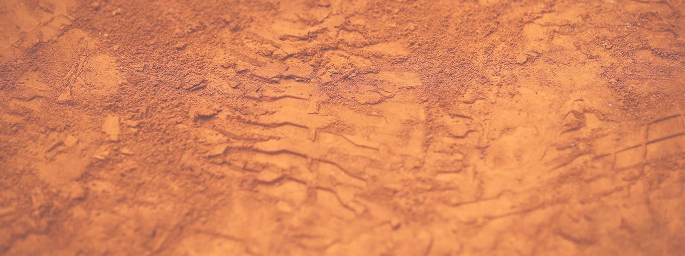 コンテンツ画像