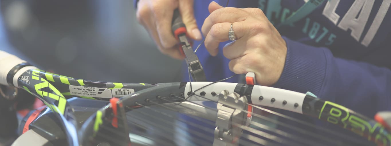 コンテンツ画像