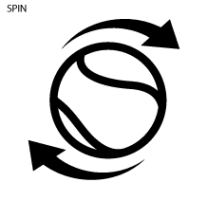 FSI Spin