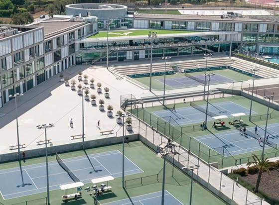 コンテンツ画像